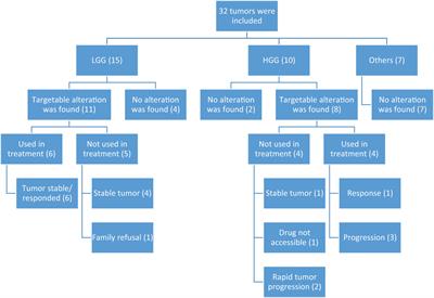 Next-generation sequencing for pediatric CNS tumors: does it add value in a middle-income country setup?